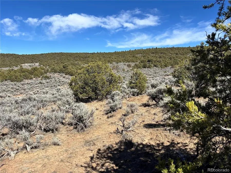 0 Bull Elk Trail, San Luis, CO 81152 - #2