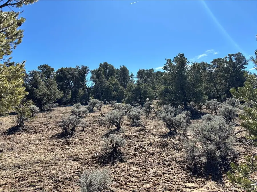 0 Bull Elk Trail, San Luis, CO 81152 - #3