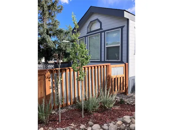 10795 County Road 197a #118, Nathrop, CO 81236