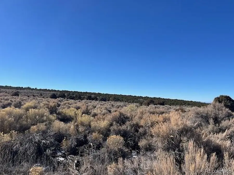 1784 Bateman Rd, Fort Garland, CO 81133 - #3