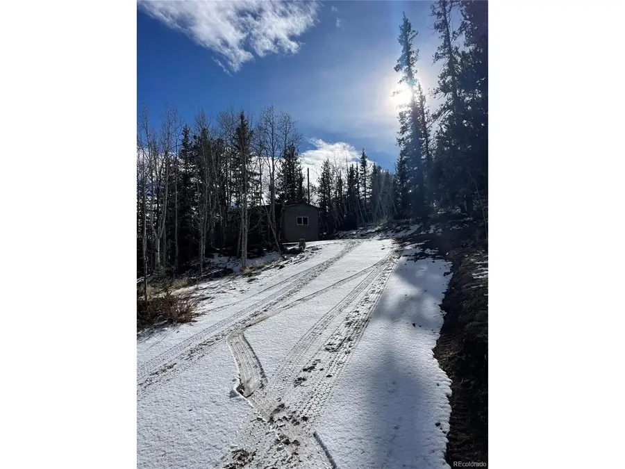 1245 Winchester Dr, Como, CO 80432 - #2