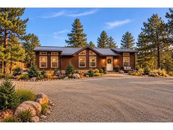 280 Bunny Rd, Bailey, CO 80421