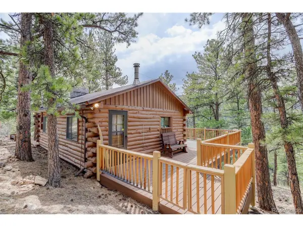 307 Virginia Rd, Bailey, CO 80421