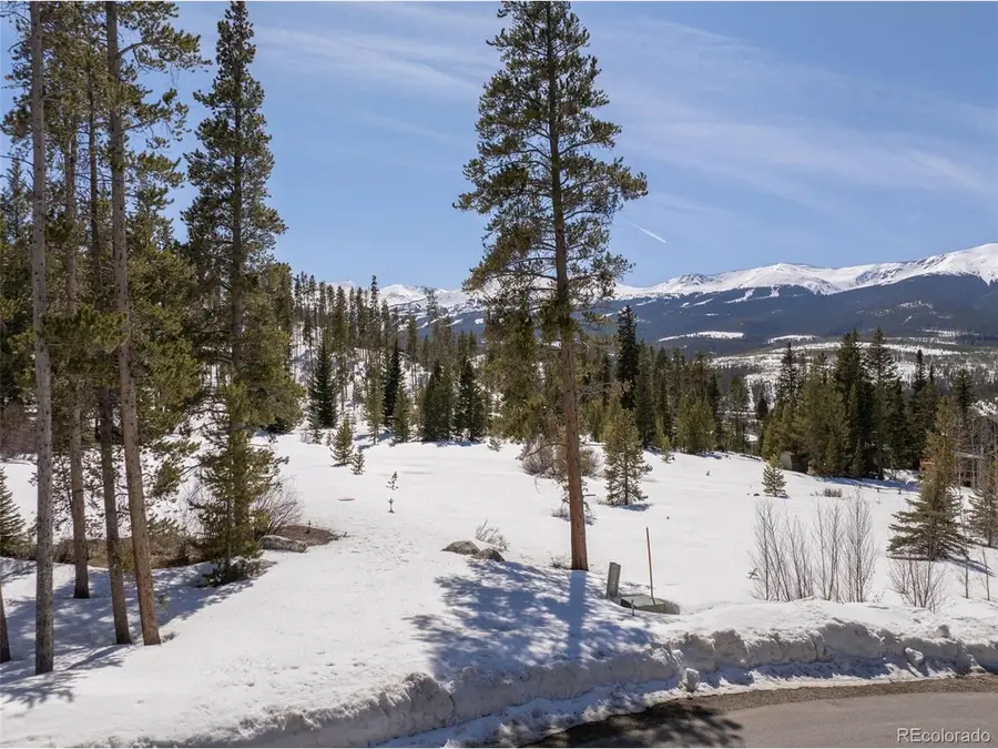 203 Spalding Ter, Breckenridge, CO 80424 - #3