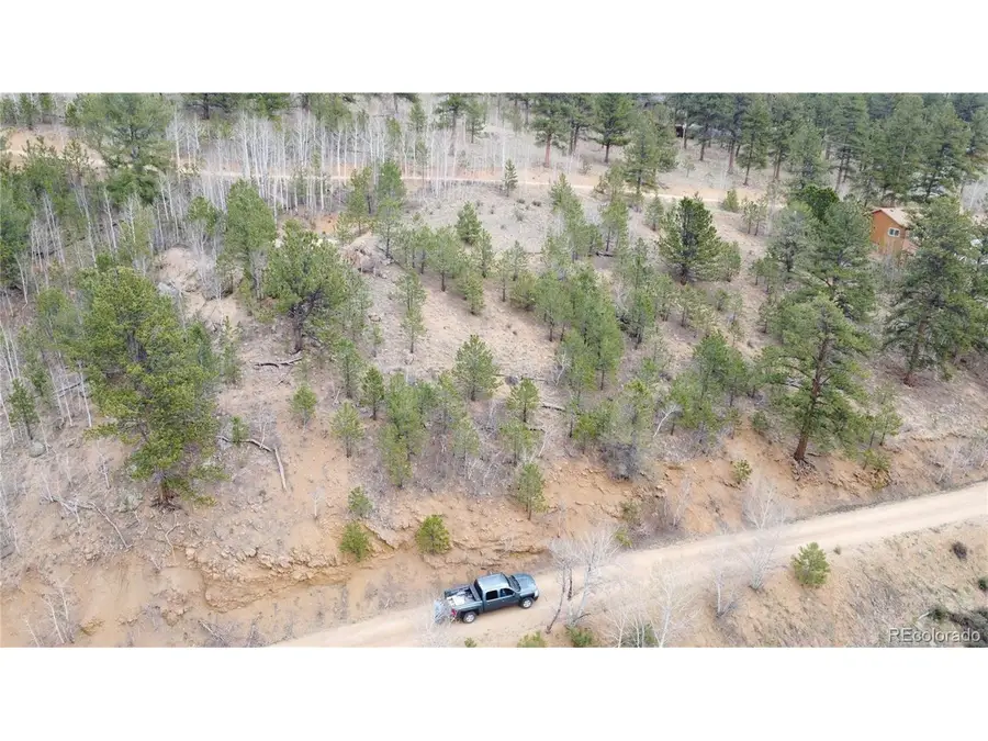 312 Marian St, Bailey, CO 80421 - #2