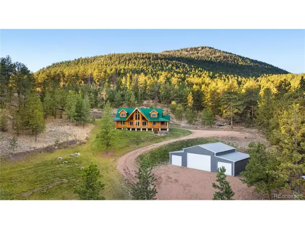 9100 County Rd 102, Guffey, CO 80820