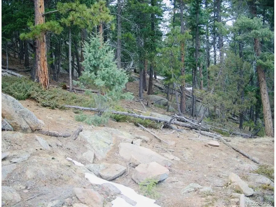 22076 High Springs Trl, Morrison, CO 80465 - #2