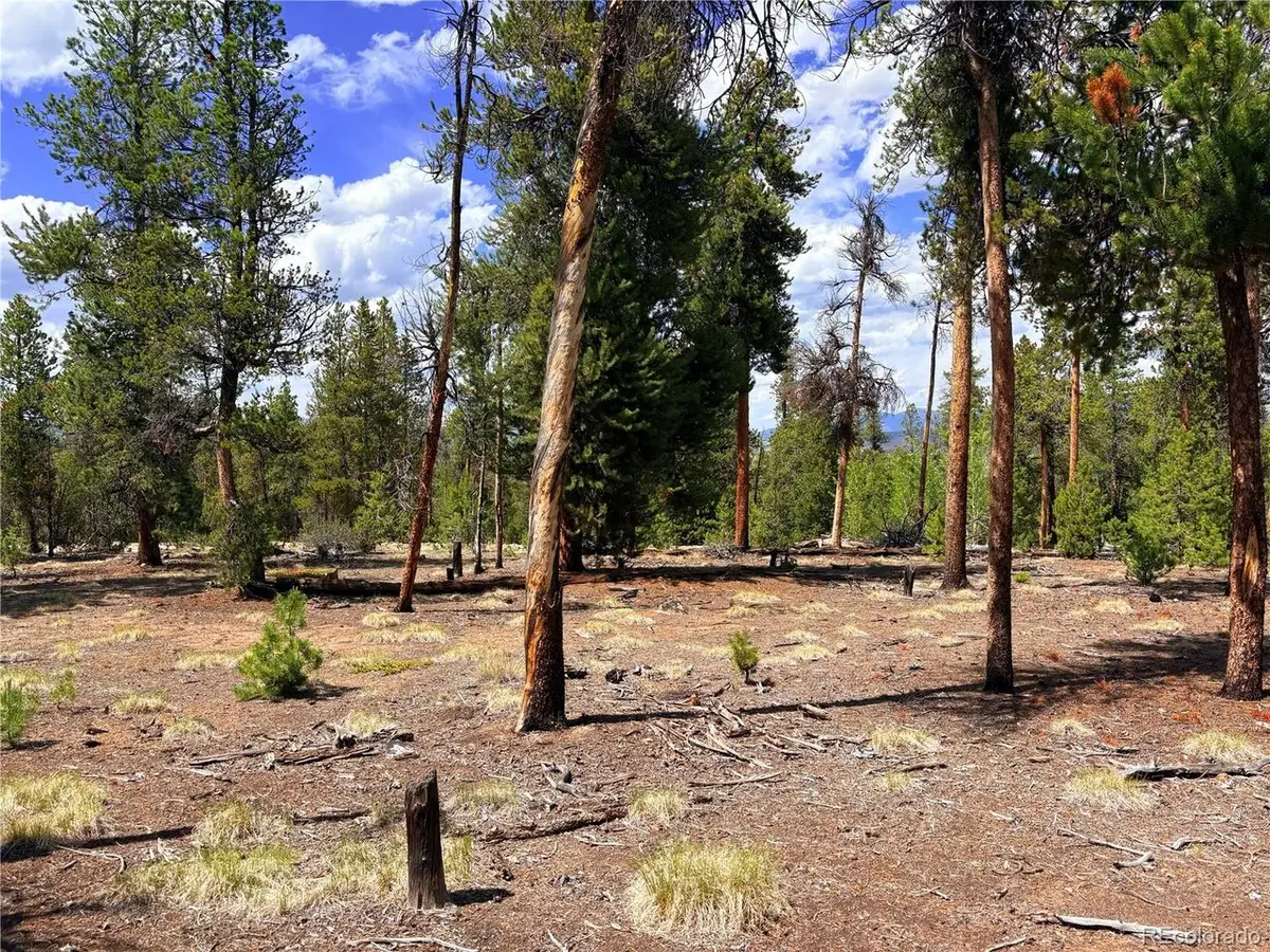 360 Lodgepole Dr, Leadville, CO 80461 - #1