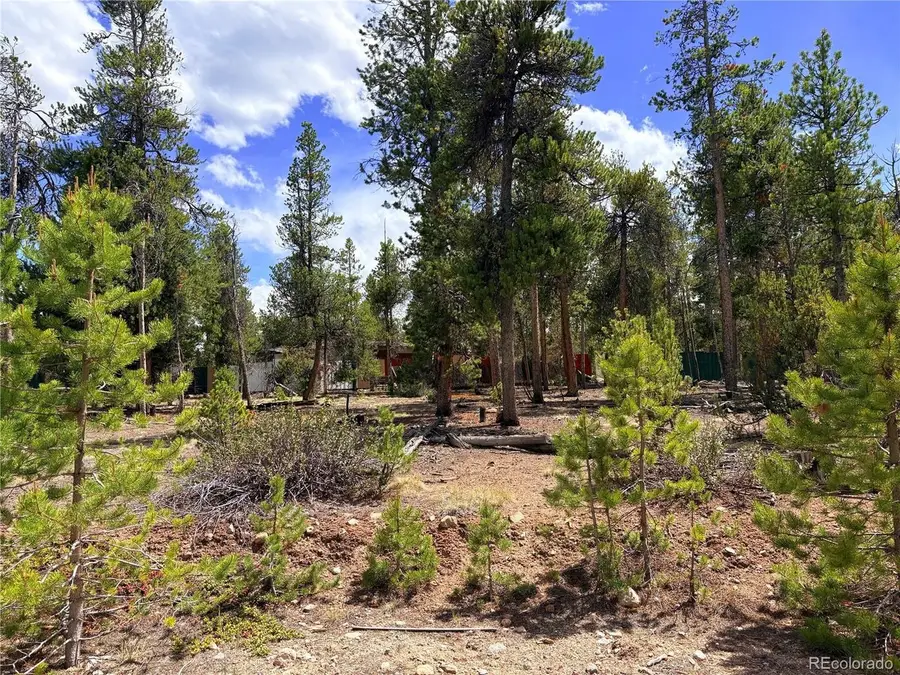 360 Lodgepole Dr, Leadville, CO 80461 - #2