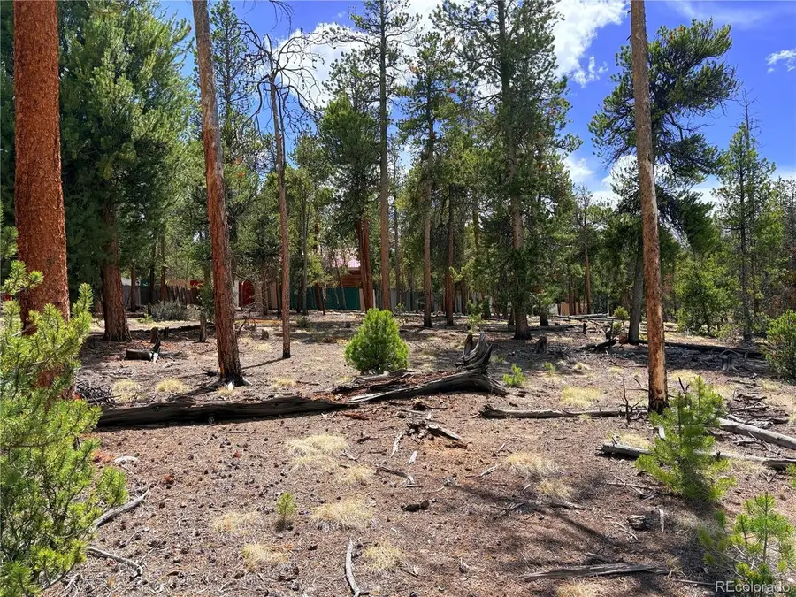 360 Lodgepole Dr, Leadville, CO 80461 - #3