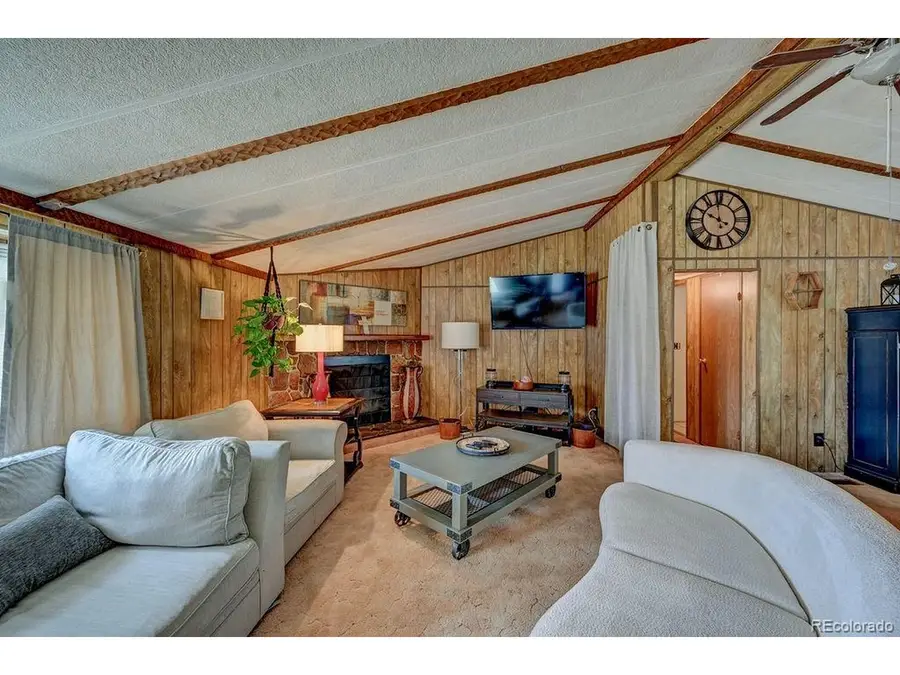 Address Withheld By Seller, Buena Vista, CO 81211 - #3