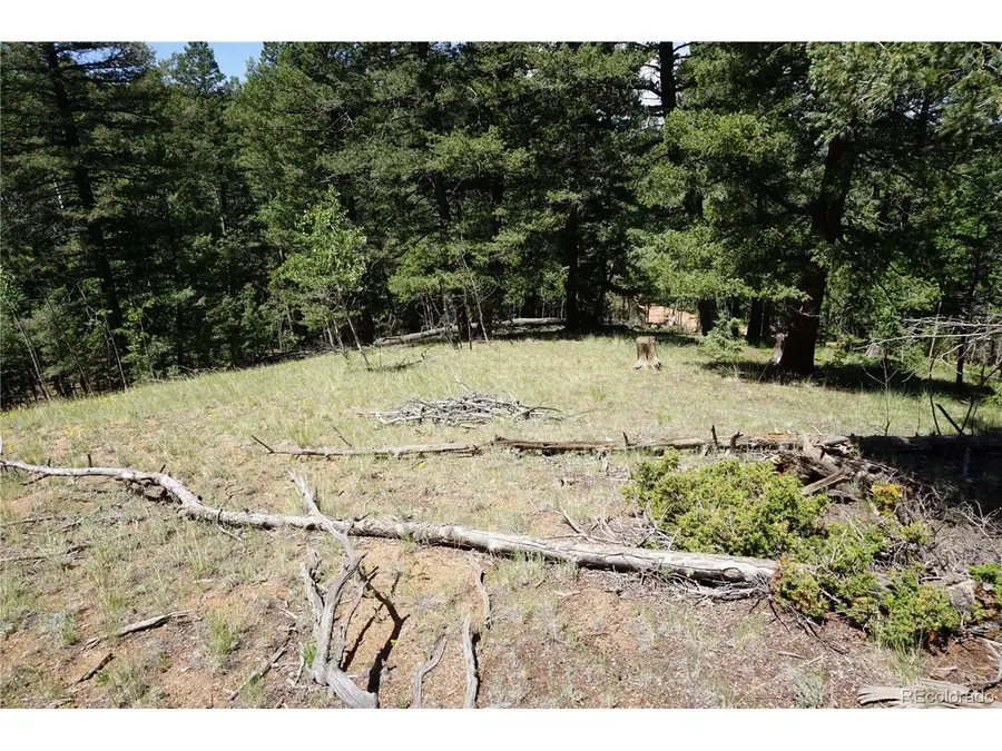 1000 Bennett, Cripple Creek, CO 80813 - #2