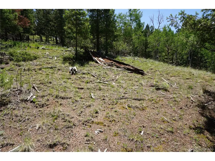 1000 Bennett, Cripple Creek, CO 80813 - #3