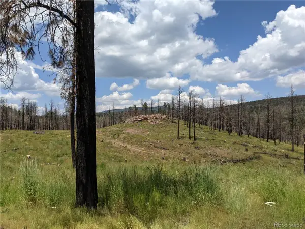 549 Drevs Pl, Fort Garland, CO 81133