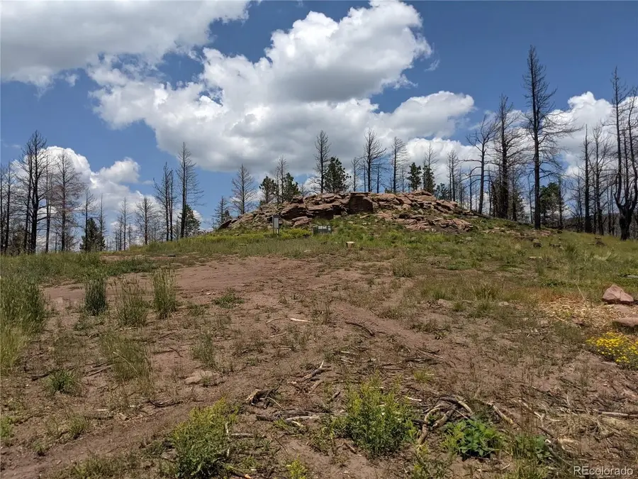 549 Drevs Pl, Fort Garland, CO 81133 - #2