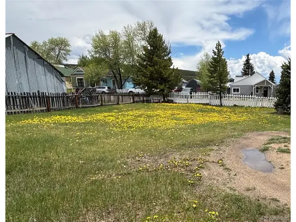 402 E 10th St, Leadville, CO 80461