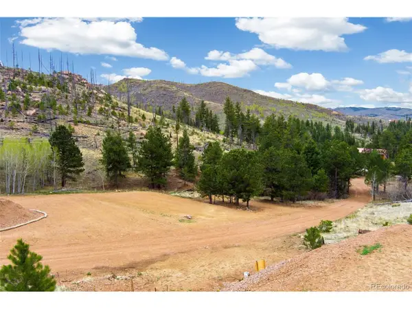 13990 S State Highway 67, Woodland Park, CO 80863