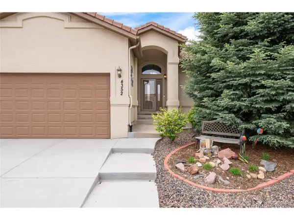 4352 Las Lunas Ct, Castle Rock, CO 80104