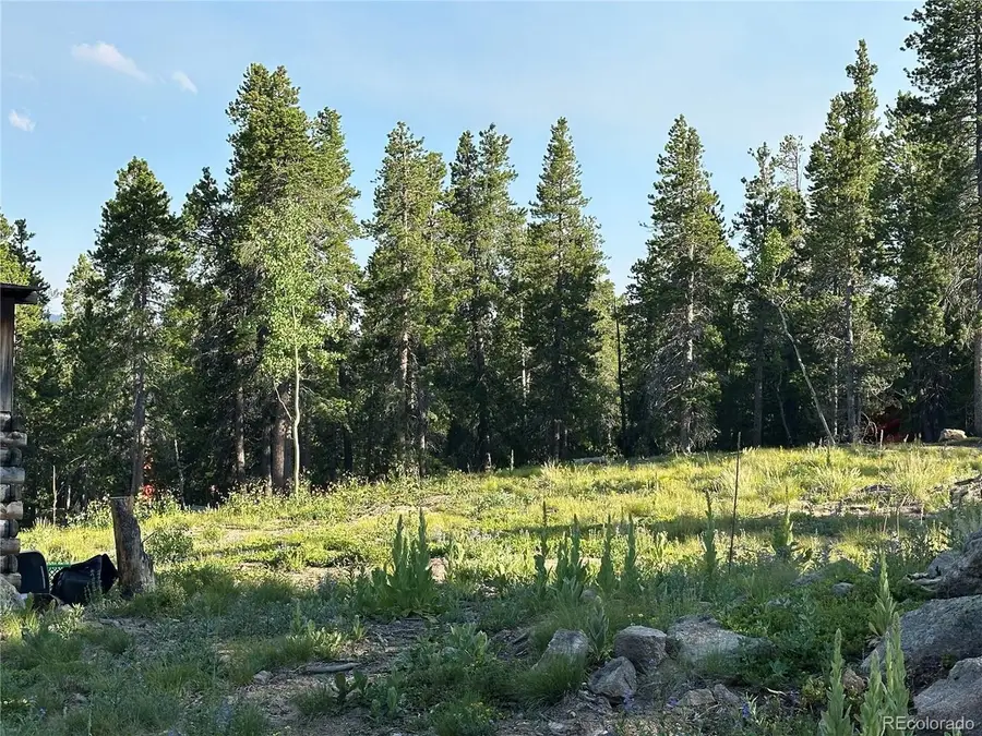 Mountain Meadows, Black Hawk, CO 80422 - #3