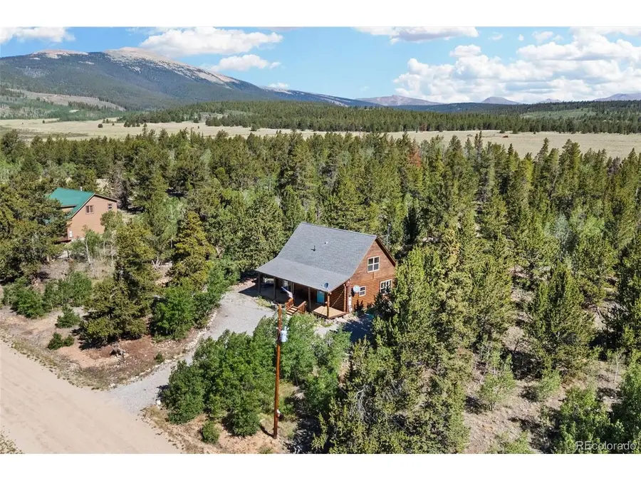 167 Stellar Jay Way, Fairplay, CO 80440 - #3