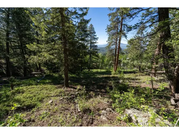 11698 Nichols Way, Conifer, CO 80433