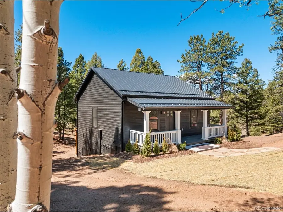 240 Insmont Ln, Florissant, CO 80816 - #3