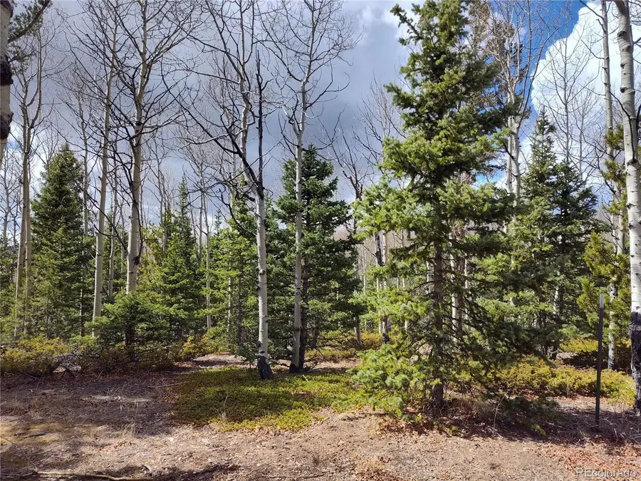 12201 S State Highway 67, Divide, CO 80813 - #2