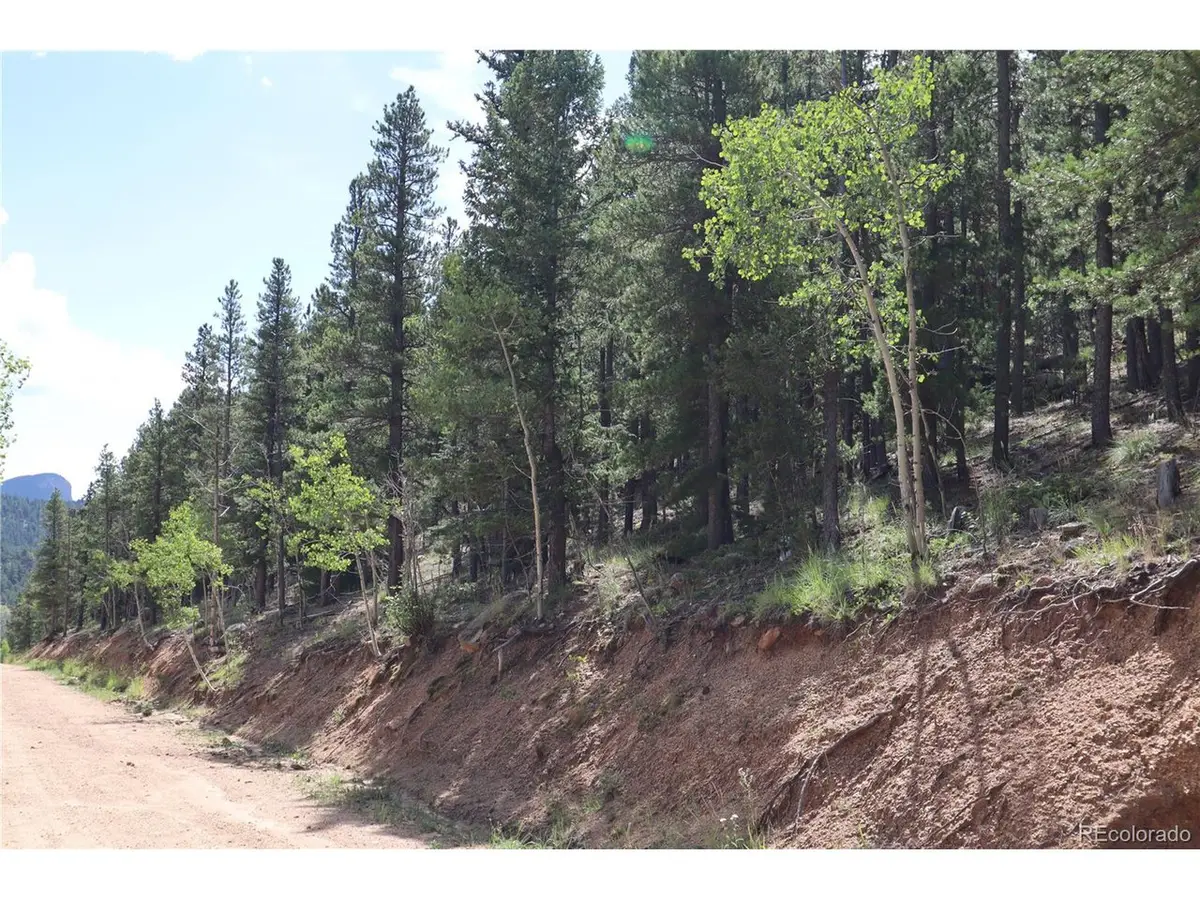 430 Lakeview Rd, Bailey, CO 80421 - Image #1