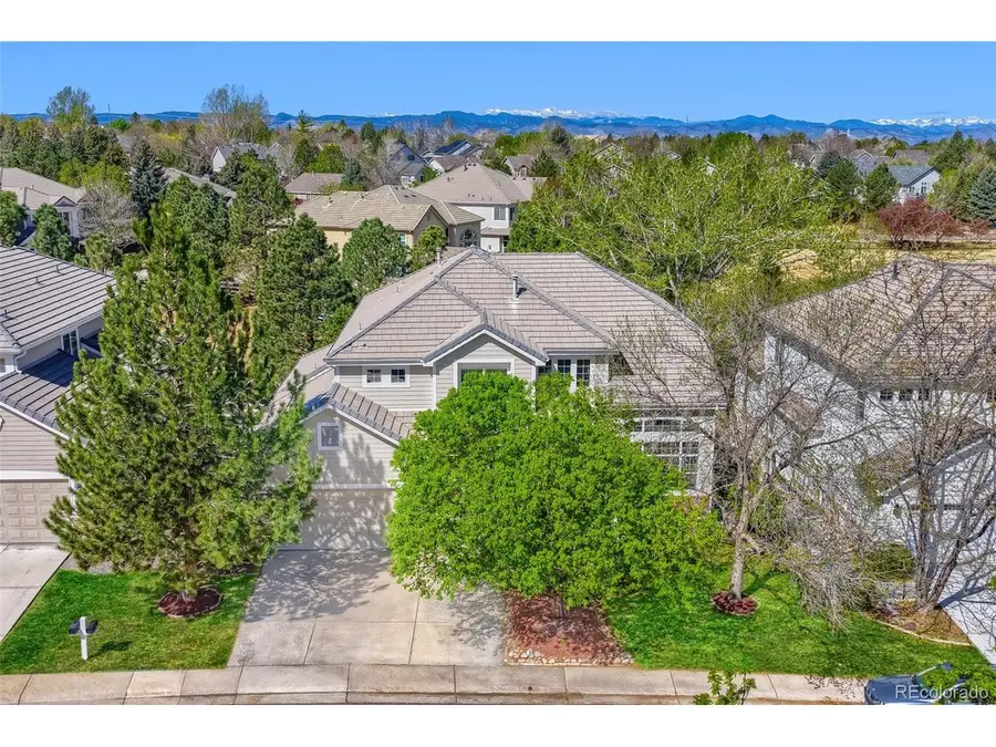 9969 Longview Dr, Lone Tree, CO 80124 - #2