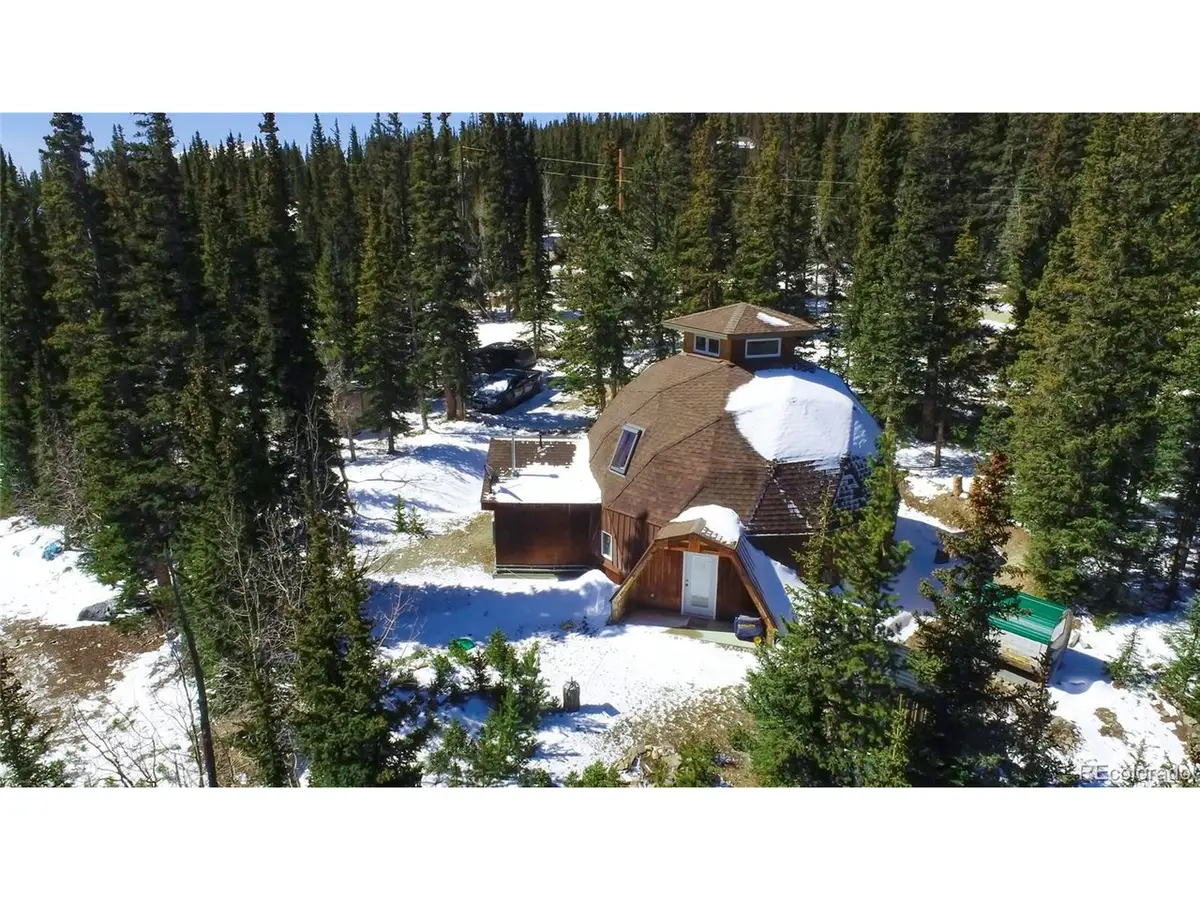 472 Prunes Pl, Fairplay, CO 80440 - #1