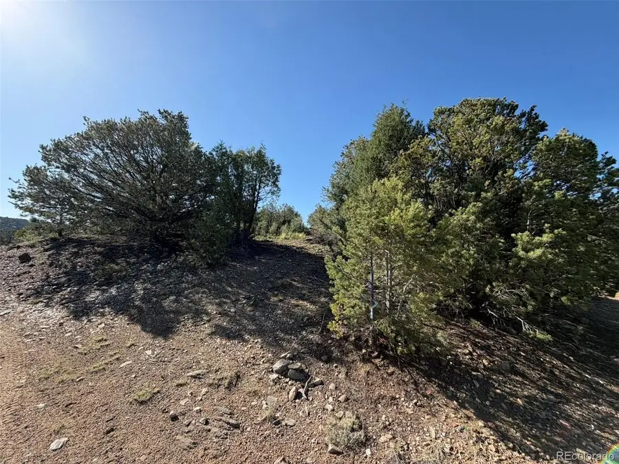 20 Molly Ln, Cotopaxi, CO 81223 - #2