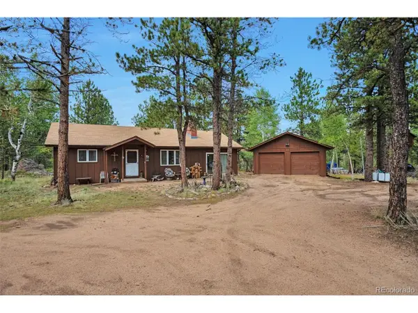 1525 Vigilante Ave, Bailey, CO 80421
