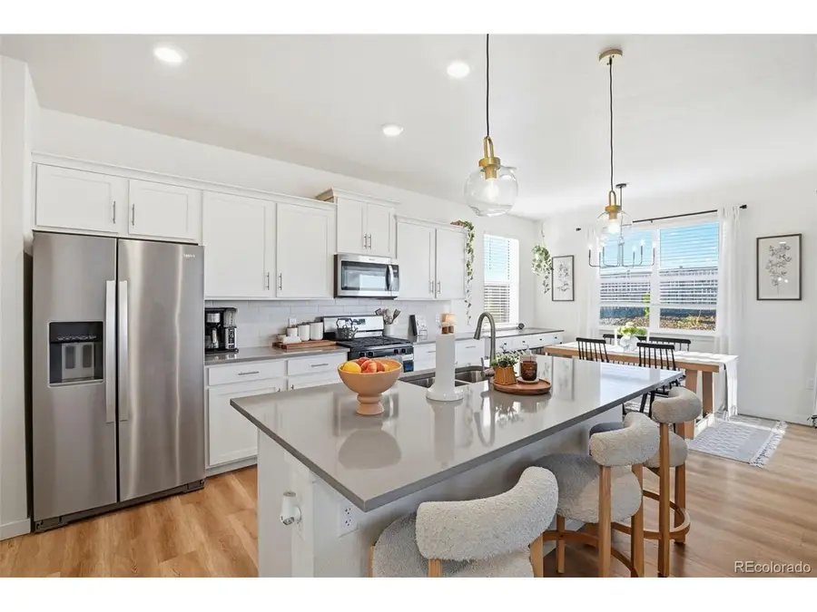 18095 Dandy Brush Dr, Parker, CO 80134 - #3