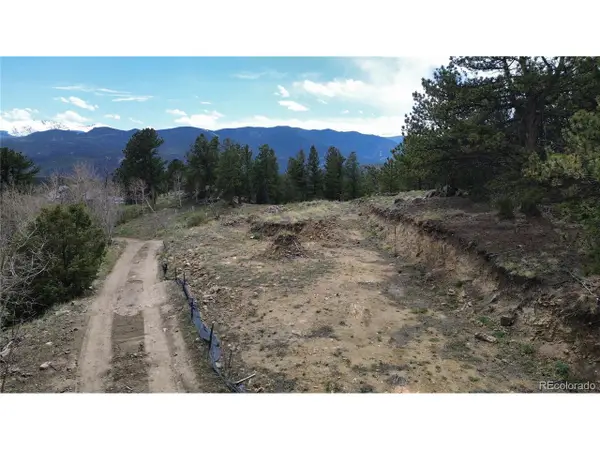 112 Mule Deer Trl, Idaho Springs, CO 80452