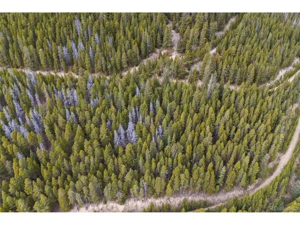 773 Harris Cir, Idaho Springs, CO 80452