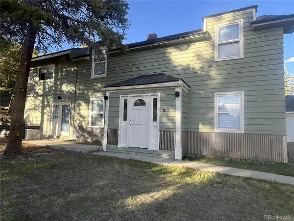 1705 Delane St, Leadville, CO 80461