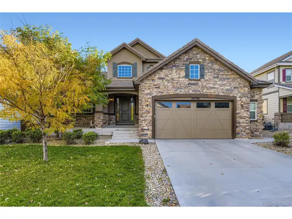 14290 Double Dutch Loop, Parker, CO 80134
