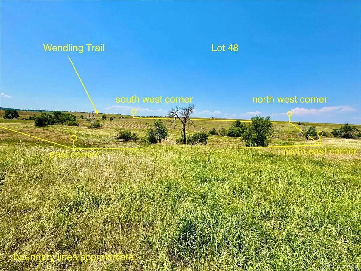Wendling Trail Lot 48, Kiowa, CO 80117 - #1