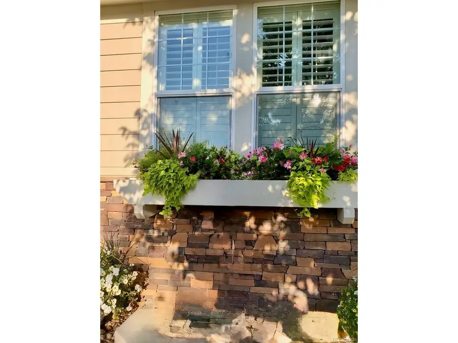 1142 Koss St, Erie, CO 80516 - #3