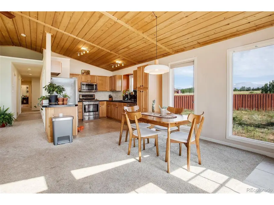 119 Bristlecone Lane, Fairplay, CO 80440 - Image #3