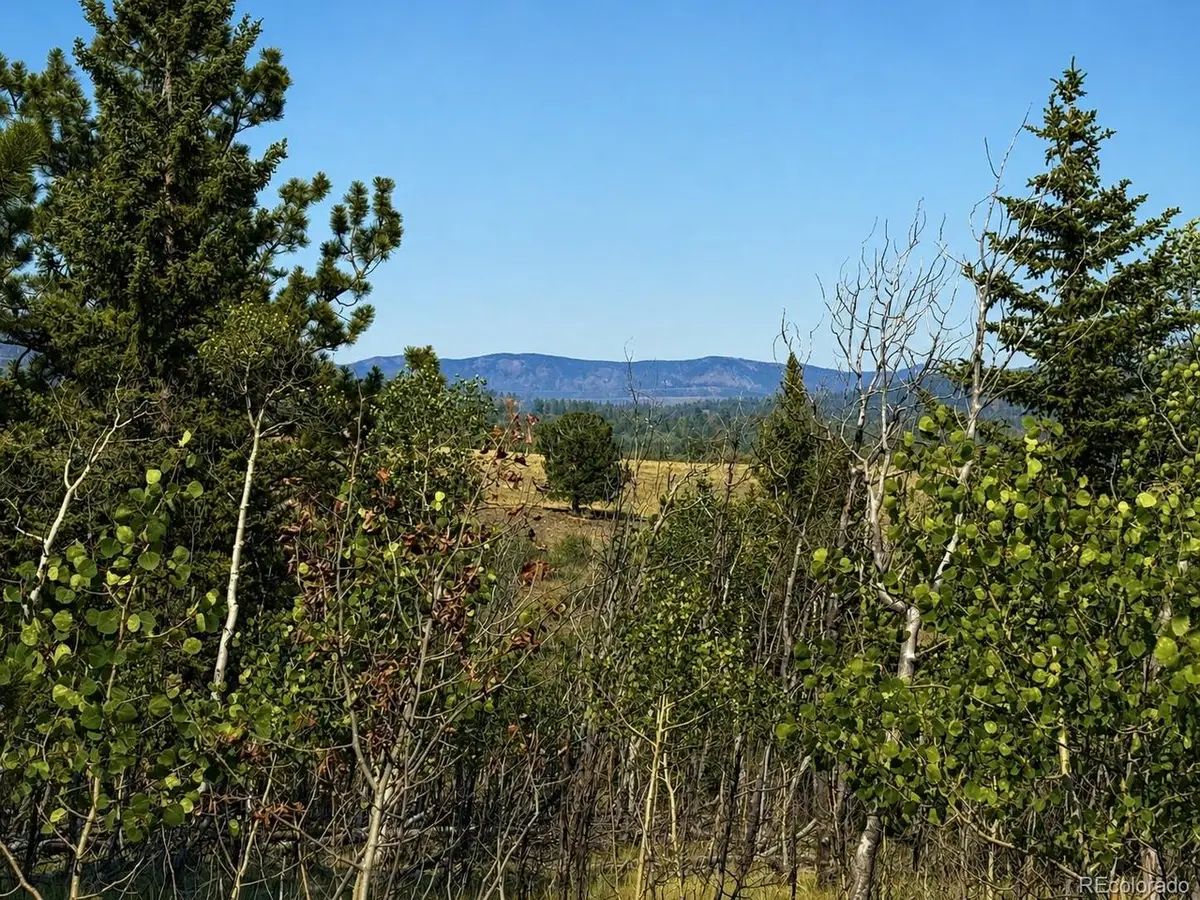 250 Pinto Trl, Como, CO 80432 - #1