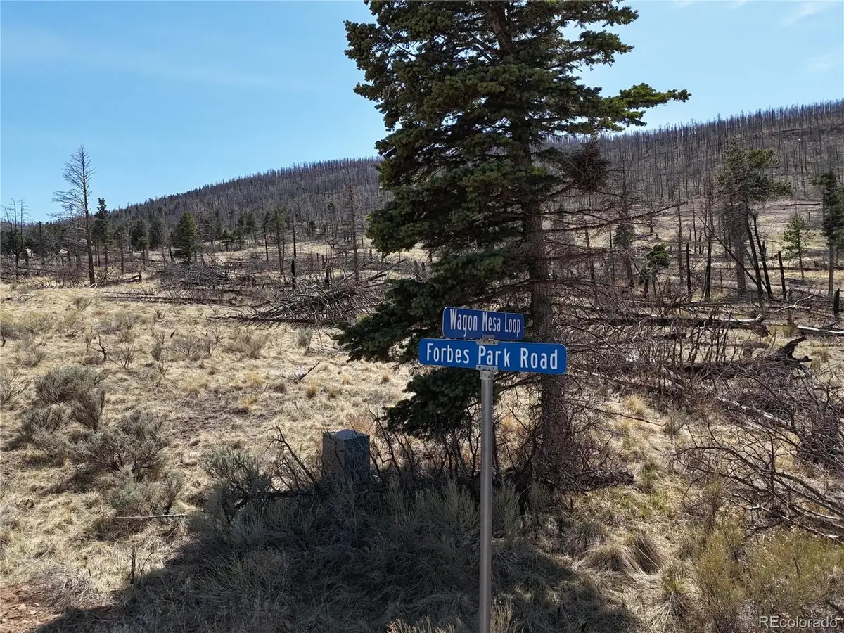 506 Forbes Park Rd, Fort Garland, CO 81133 - #1