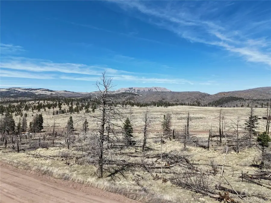 506 Forbes Park Rd, Fort Garland, CO 81133 - #2