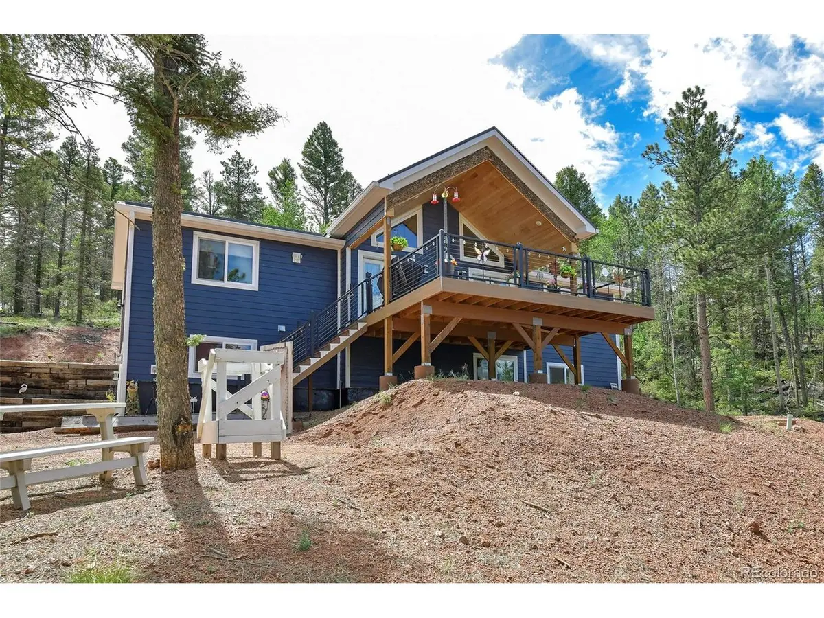 100 Wildcat Creek Dr, Florissant, CO 80816 - #1