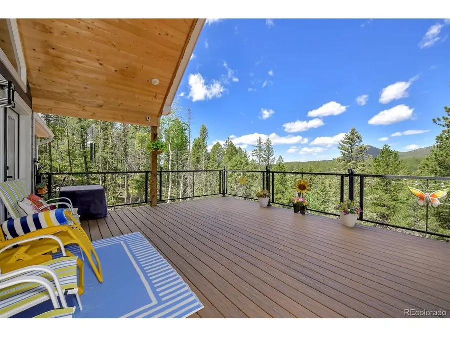 100 Wildcat Creek Dr, Florissant, CO 80816 - #2