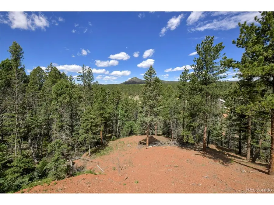 100 Wildcat Creek Dr, Florissant, CO 80816 - #3