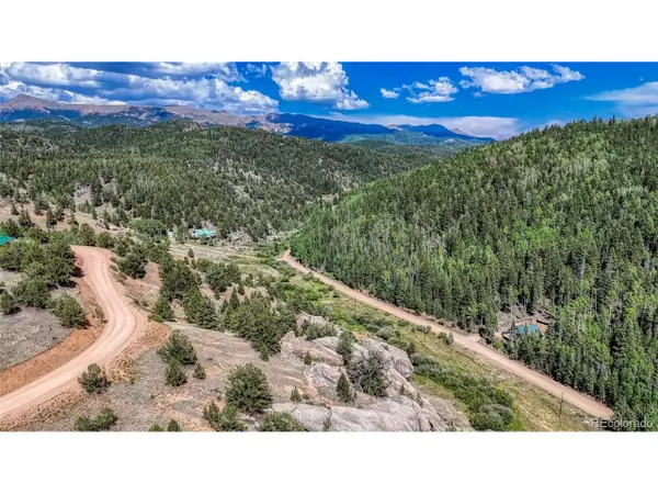 282 Fairview Dr, Florissant, CO 80816