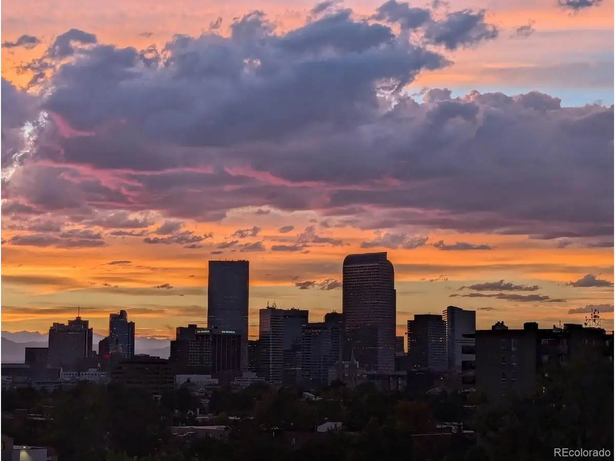 909 N Lafayette St #503, Denver, CO 80218 - #1