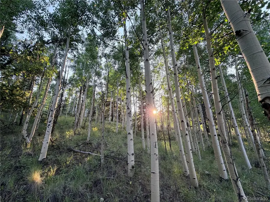 3 Cooper Jury Ln Tract 3 & 4 Ave, Antonito, CO 81120 - #2