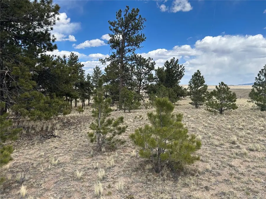 565 Brahma Cir, Hartsel, CO 80449 - #3